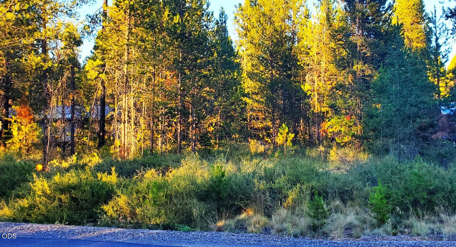 55618 Snow Goose Road