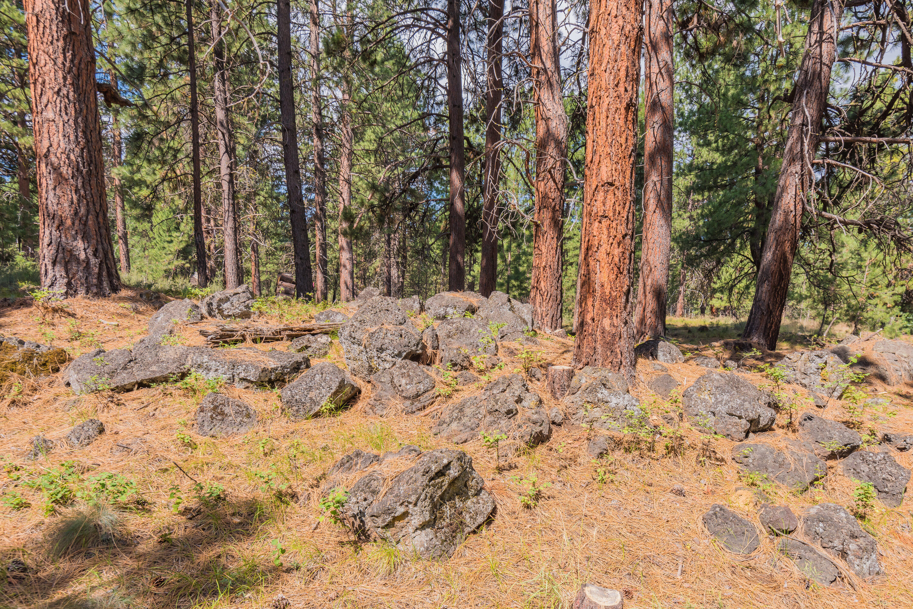 Black Butte Ranch - Residential
