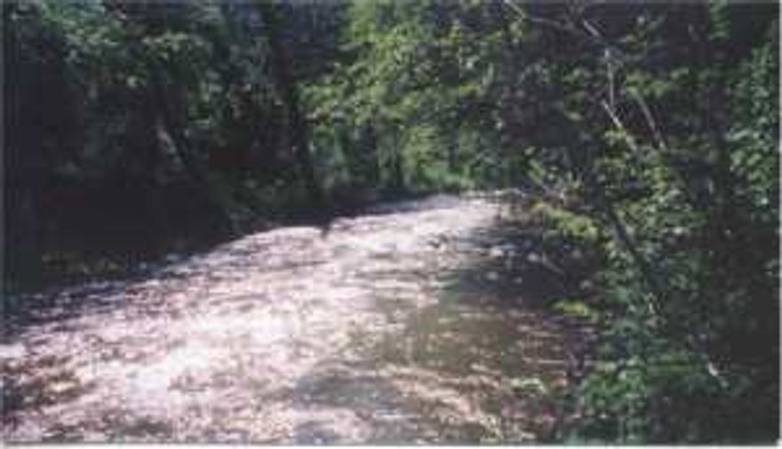 Georgeous river front homesite, all irrigated pasture with homesite near river, 1100 frontage, standard septic installed, 8 GPM well, floodplain studg. done, & 1059 water rights.