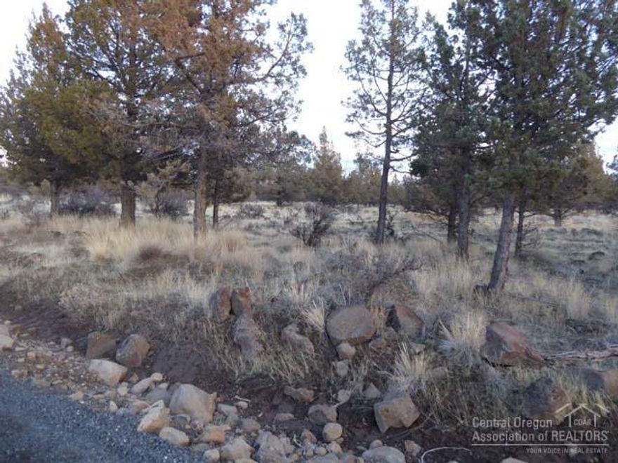 This one is waiting for you, a 3.15 acre bare land lot in the gated off grid community of 3 Rivers Rec Area. You can camp now and build later. Come and enjoy all the 3 Rivers amenities, private beach on Metolius River, gun range, ATV & dirt bike trails, private airstrip, dry golf course and don't forget the wildlife. Don't miss out on owning a piece of paradise.