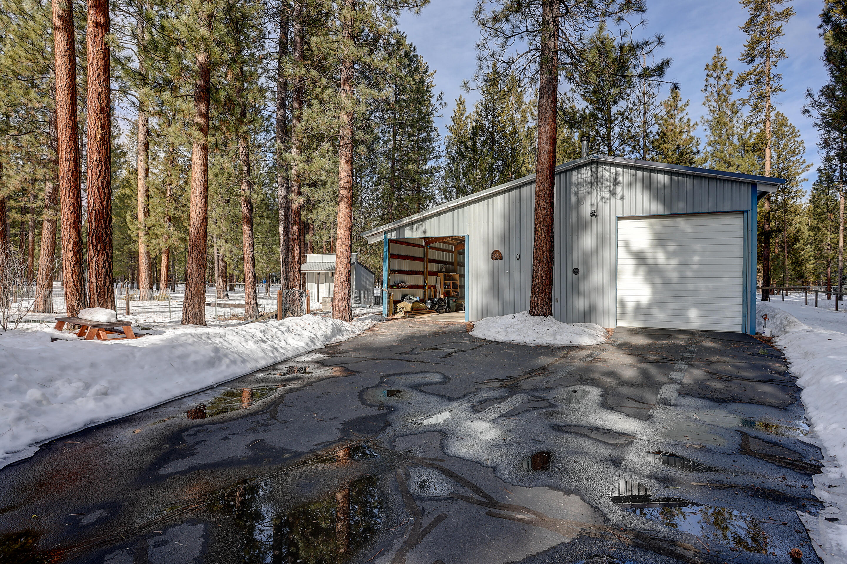 Ponderosa Pines - Residential