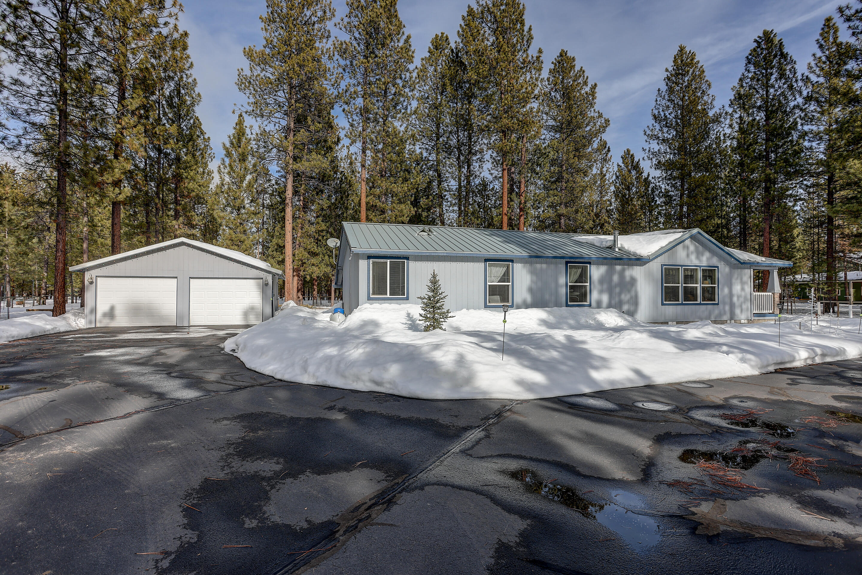 Ponderosa Pines - Residential