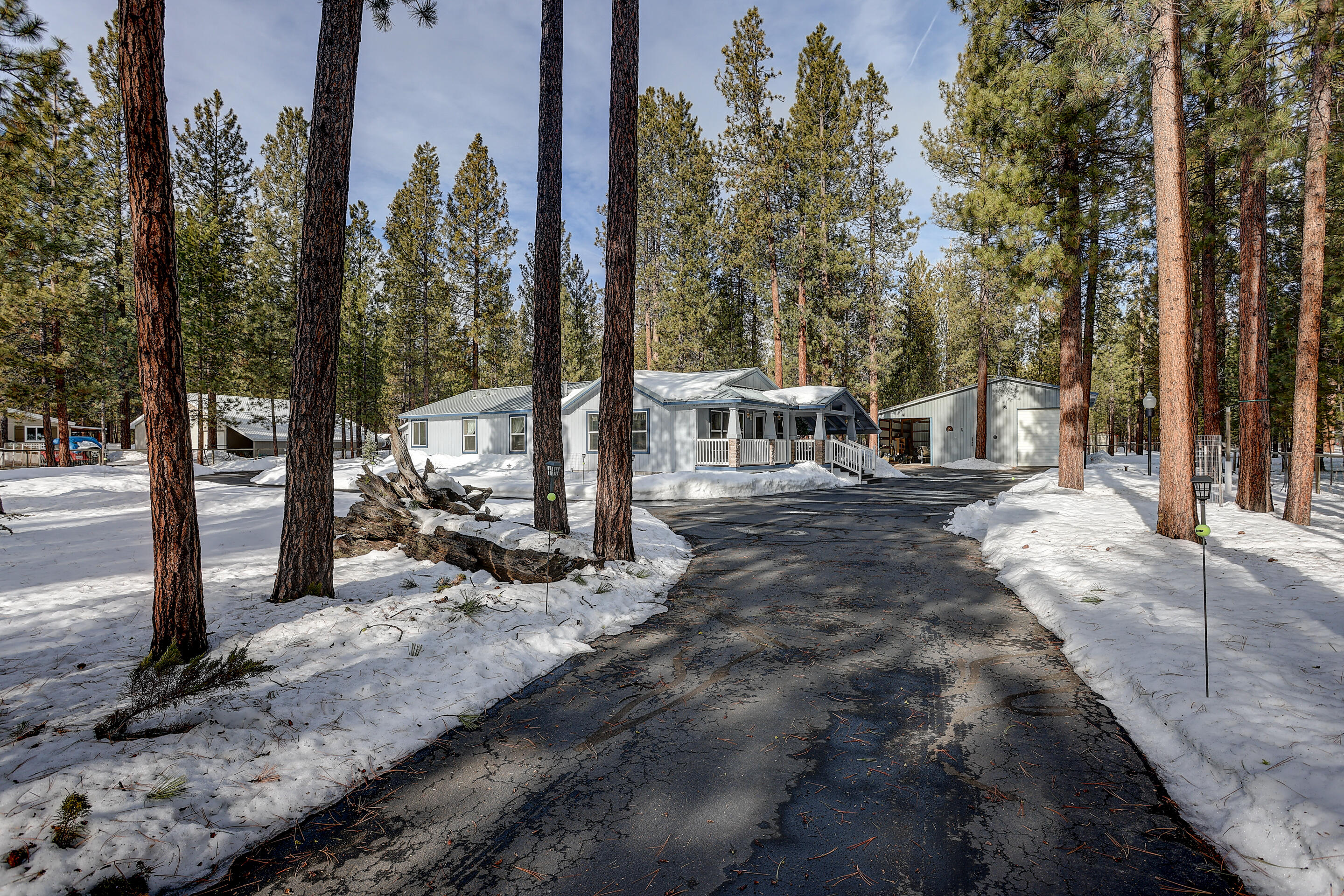 Ponderosa Pines - Residential