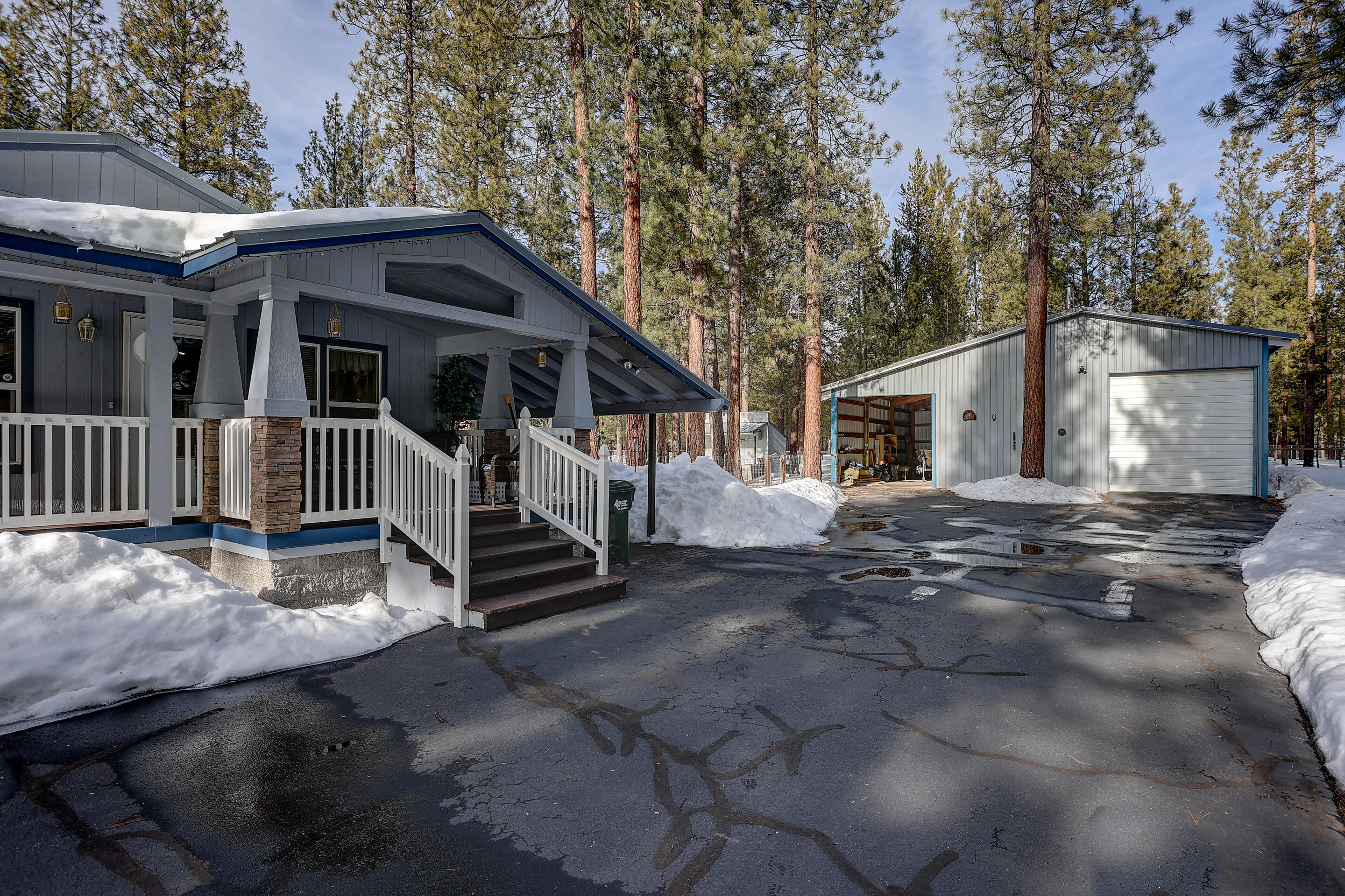 Ponderosa Pines - Residential