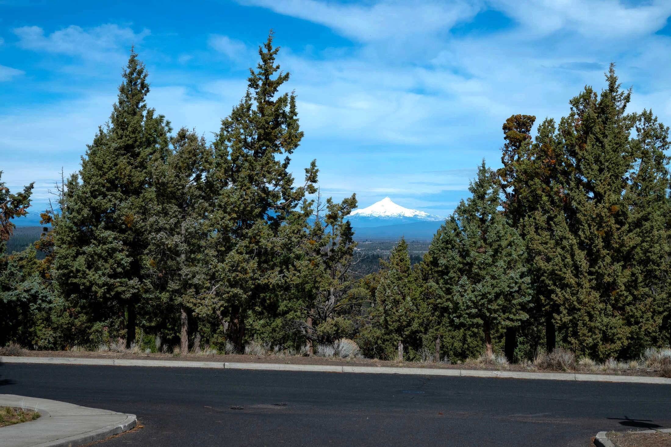 1354 NW Remarkable Drive