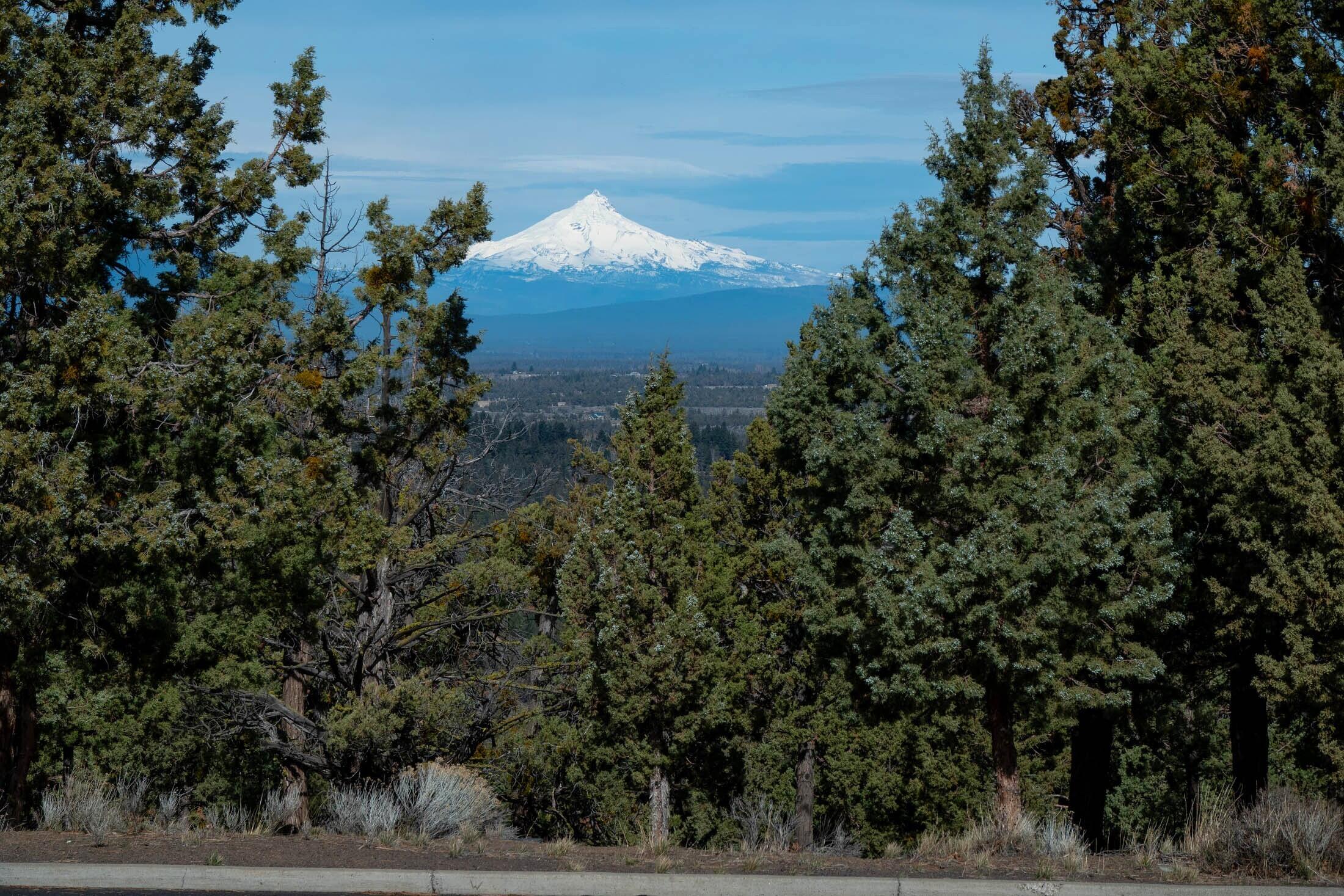 1354 NW Remarkable Drive