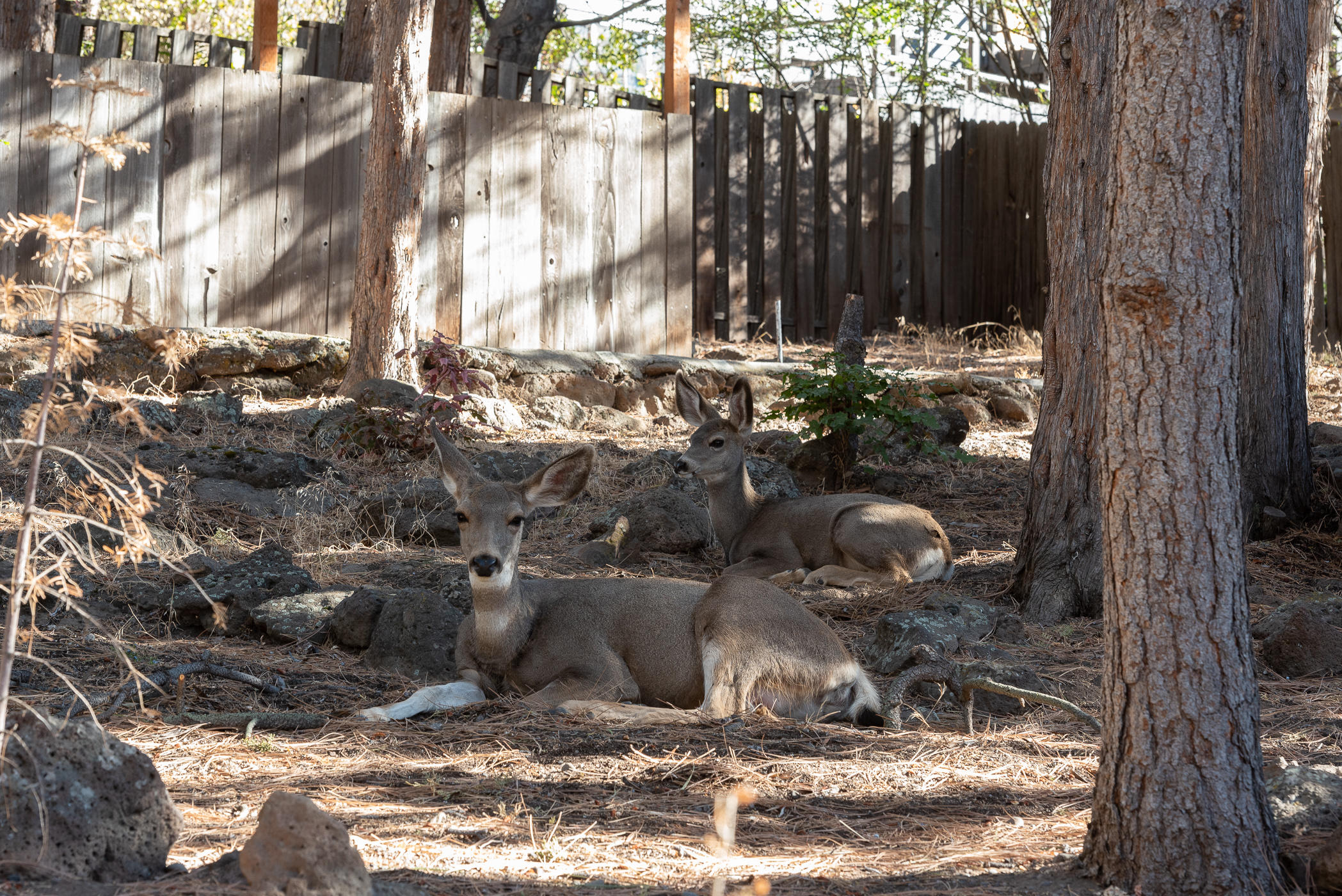 West Hills - Residential
