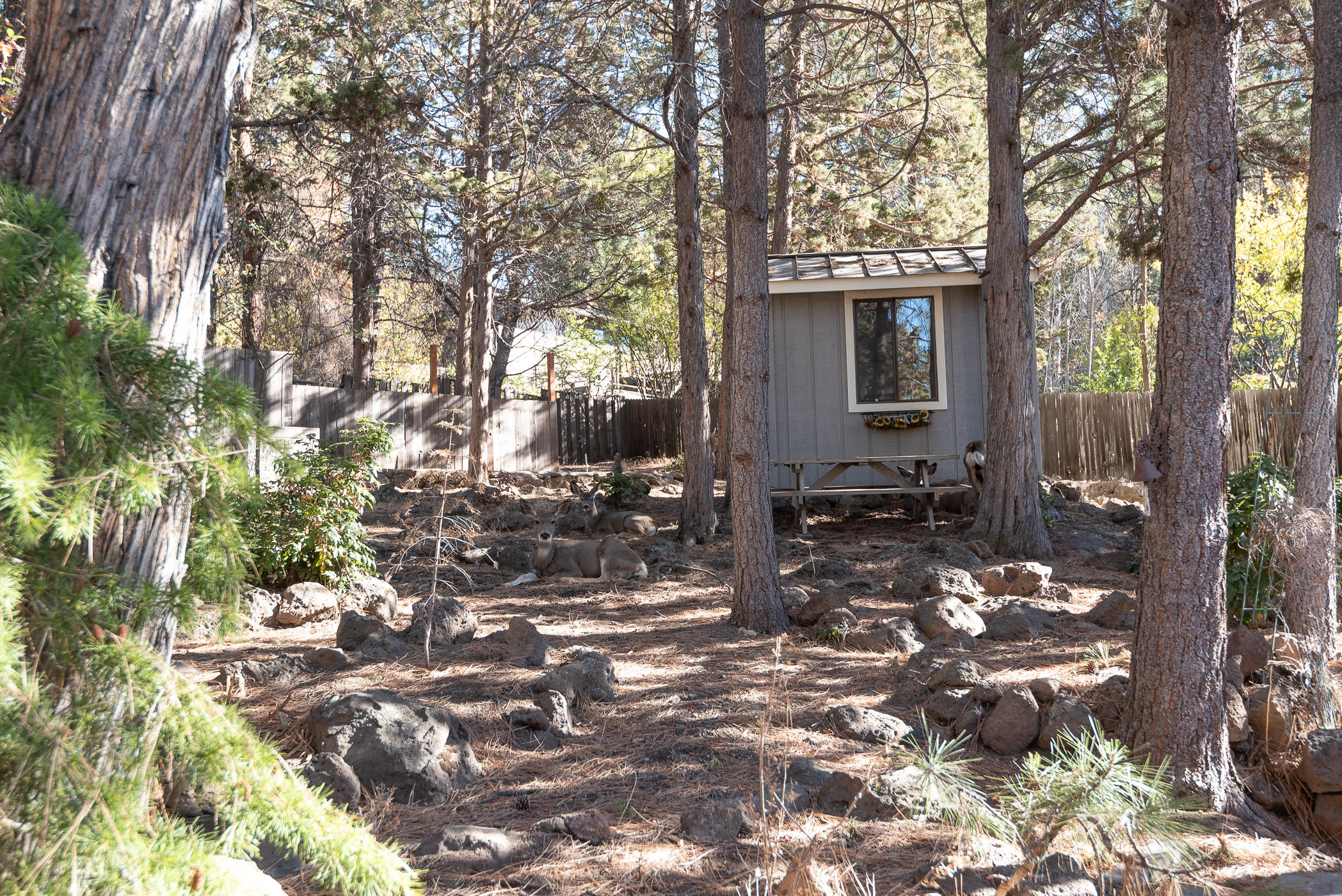 West Hills - Residential