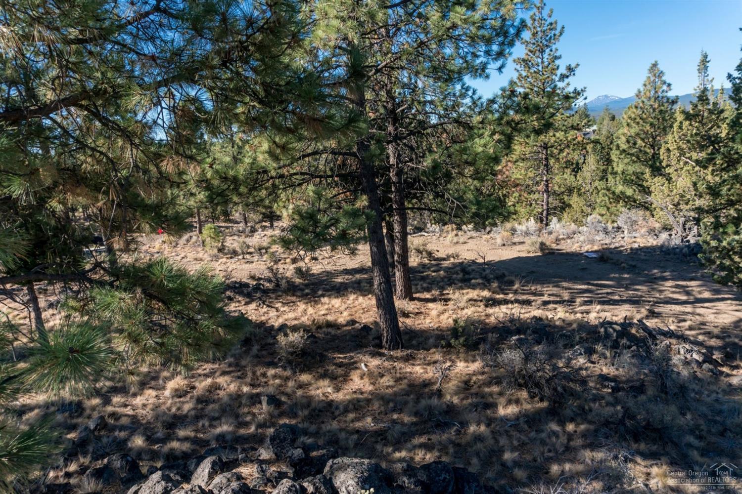 Shevlin Estates - Residential