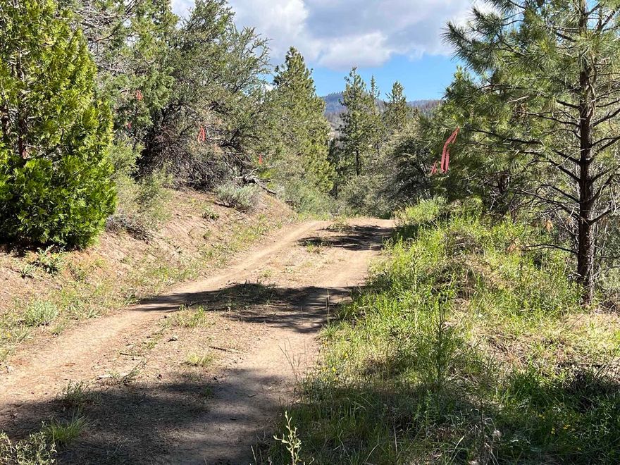 10 Acres with a gentle hillside that affords extremely wonderful panoramic views of Booth State Park and the surrounding mountains and valleys. Had a good road that is in decent condition and offers easy access. This lovely parcel borders Public Lands and Power is located close by at Booth State Park.
If you are looking for a property to develop a campsite or cabin site with great access and close to hunting and nature then look no further. Sign is on the property.
GPS
42.1864
-120.5903