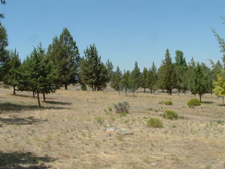 Madras Ranchos - Residential