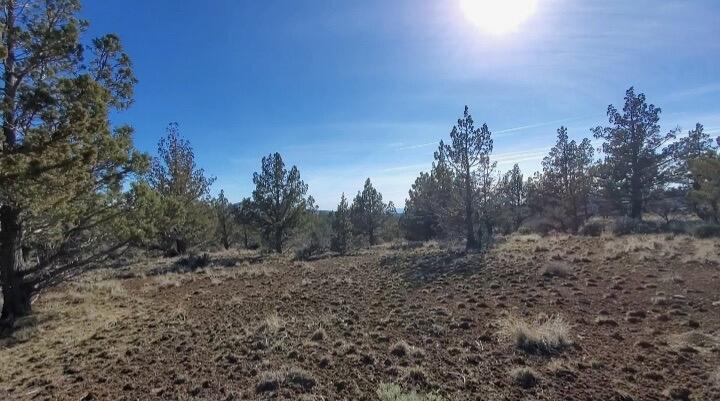 19725 SE Upper Ridge Road