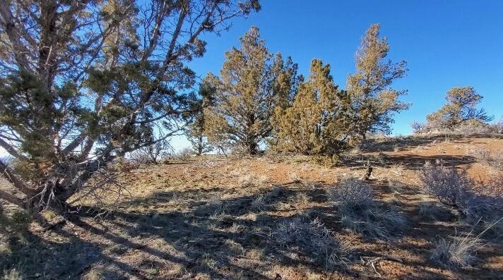 Riverside Ranch - Land