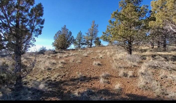 Riverside Ranch - Land