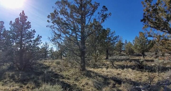 19725 SE Upper Ridge Road