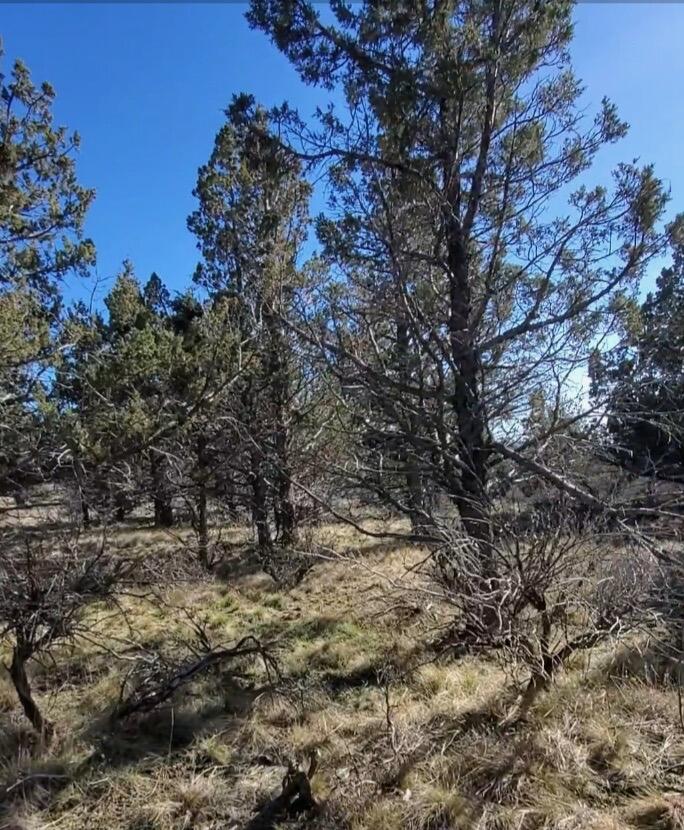 Riverside Ranch - Land