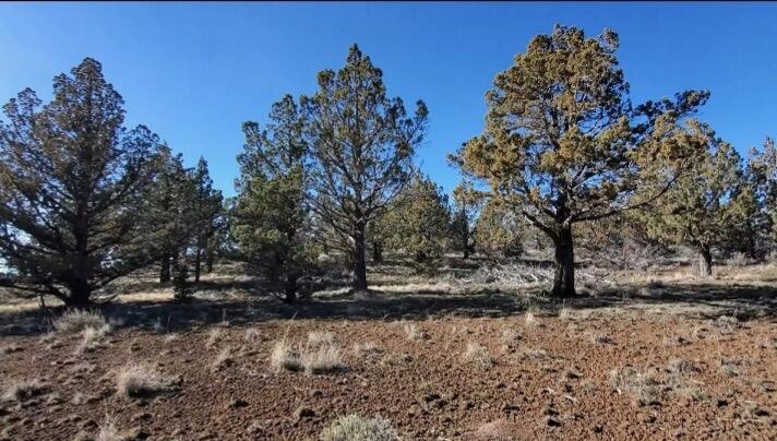 19725 SE Upper Ridge Road