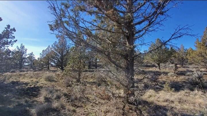 19725 SE Upper Ridge Road