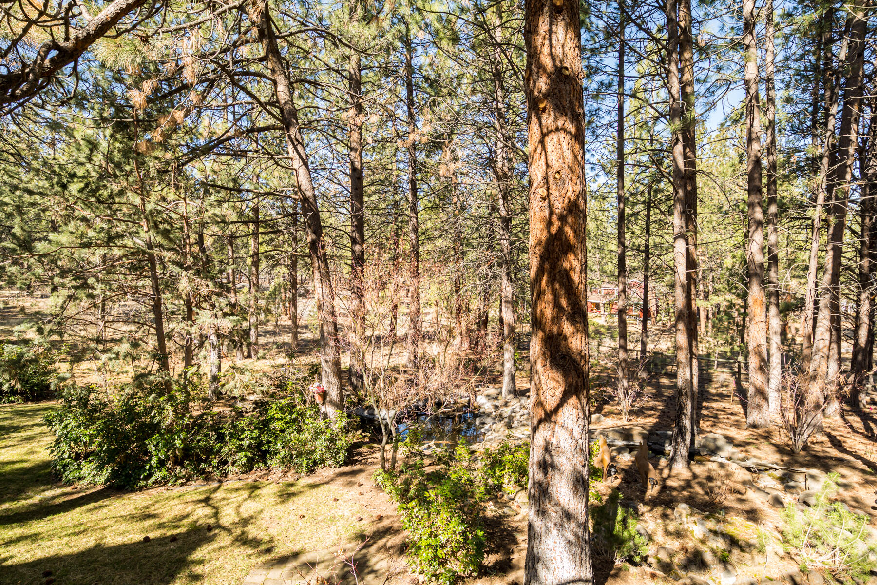 Woodside Ranch - Residential