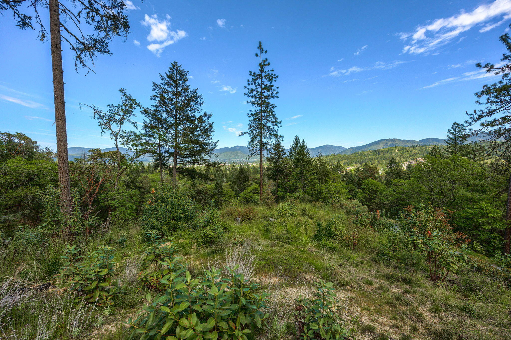 Larkin Heights (pud) - Land