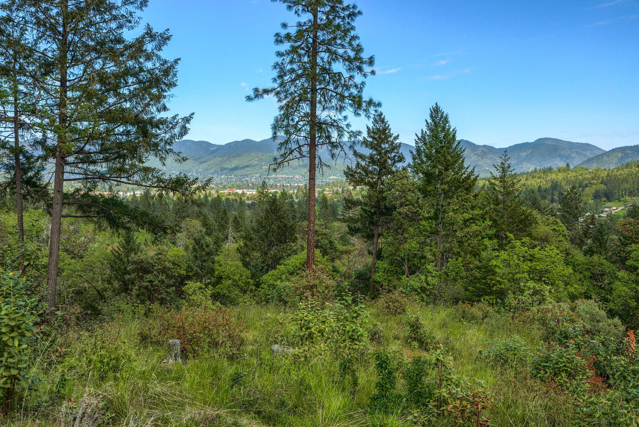 Larkin Heights (pud) - Land