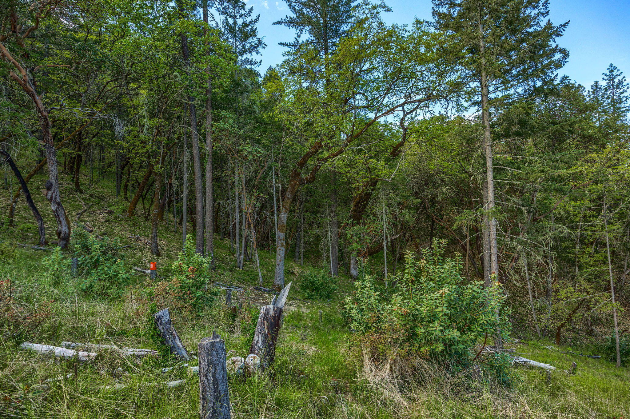 Larkin Heights (pud) - Land