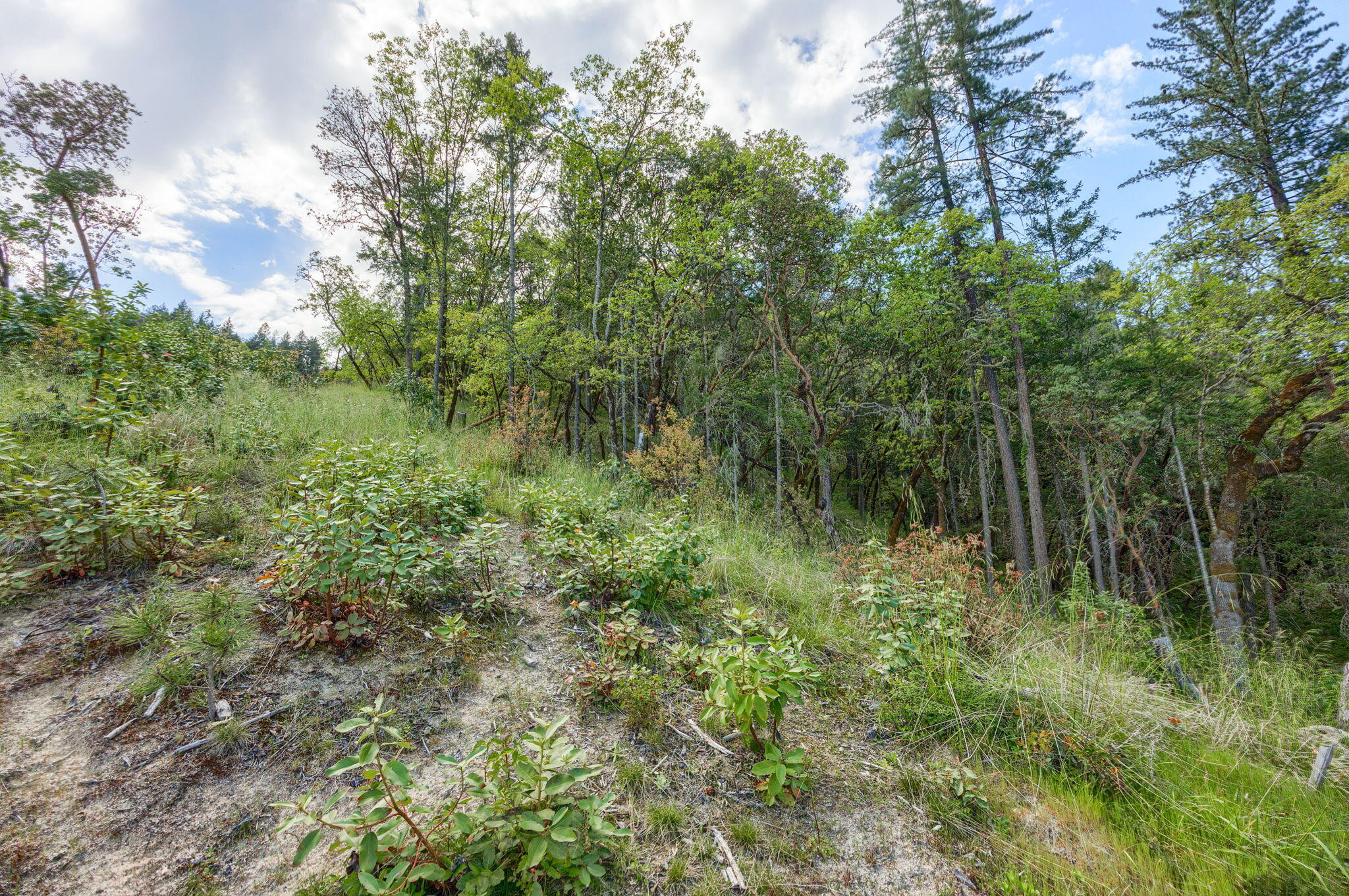 Larkin Heights (pud) - Land