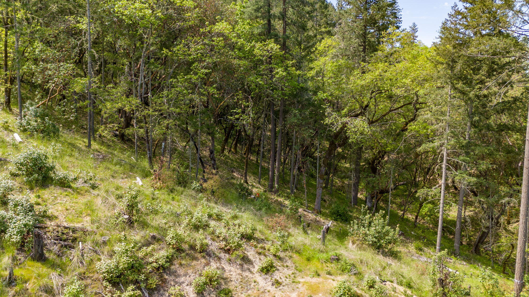 Larkin Heights (pud) - Land