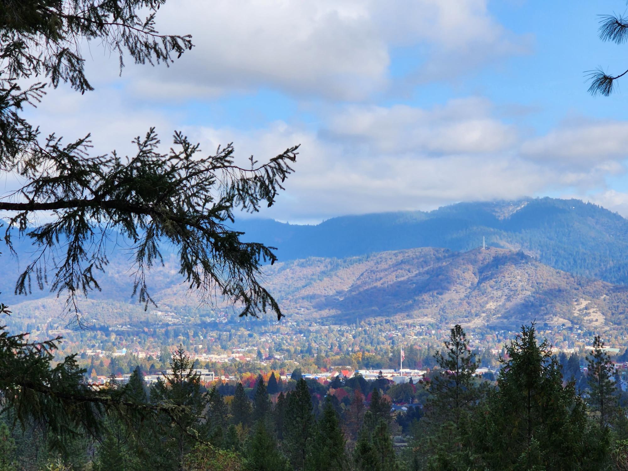 Larkin Heights (pud) - Land