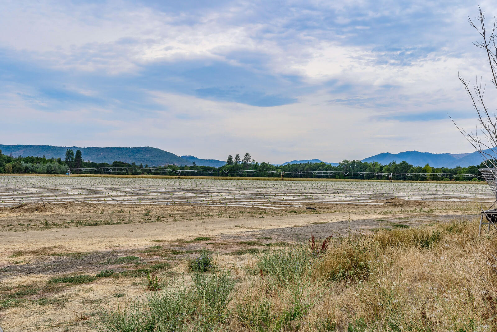 Constant Tract Addition To Central Point - Residential