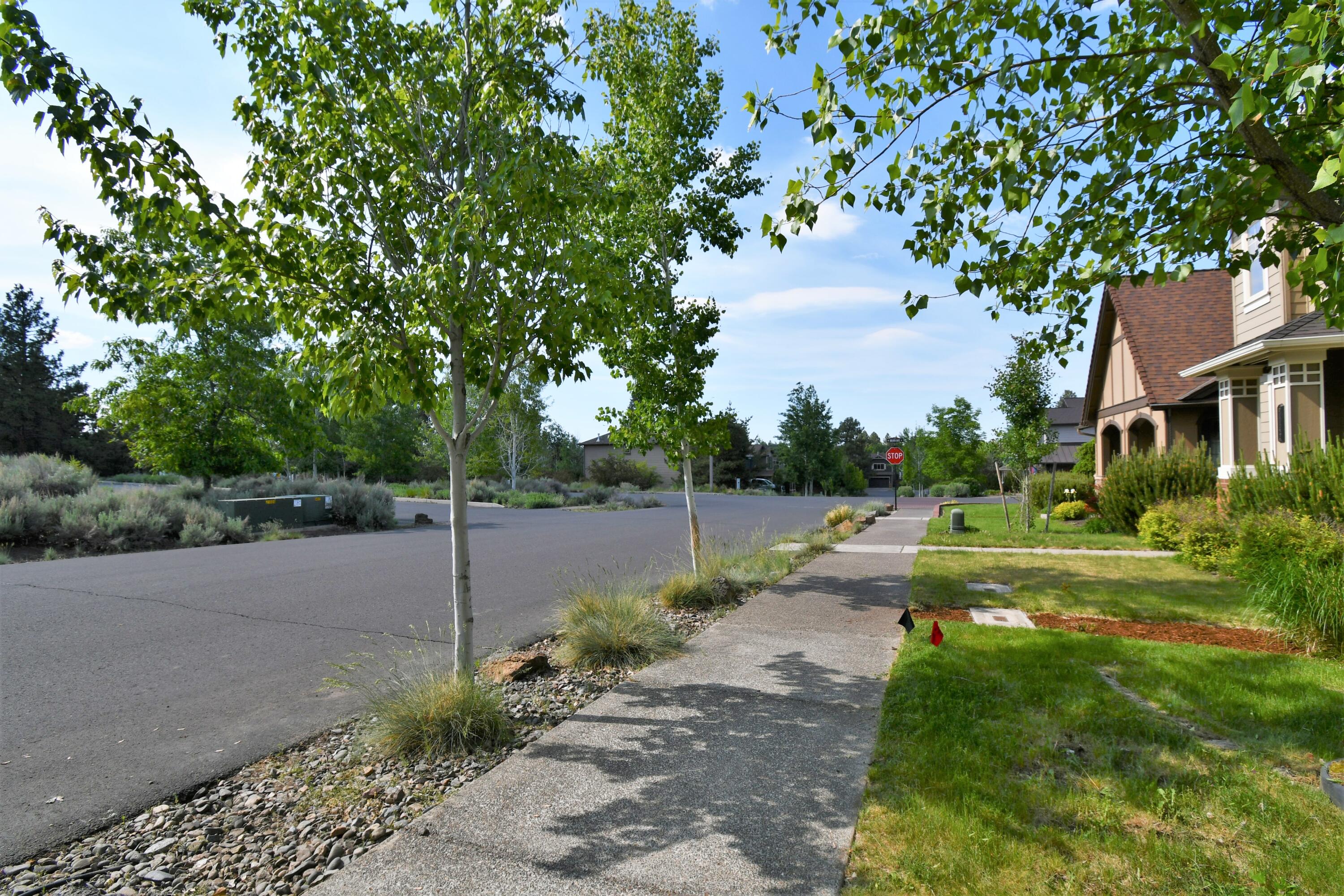 The Bridges - Residential