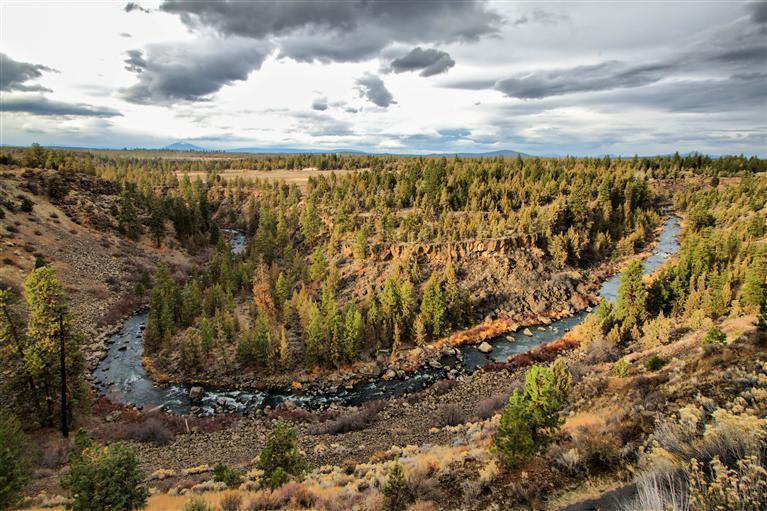 Wyndemere - Residential