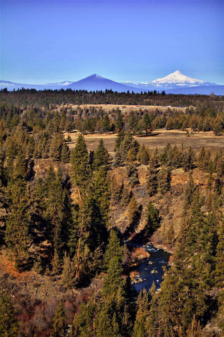 Wyndemere - Residential