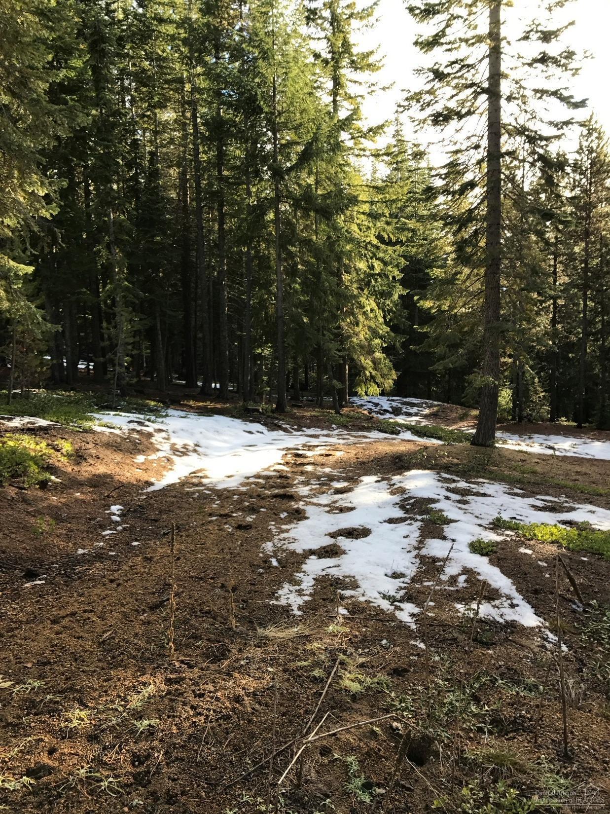 Diamond Peaks - Land