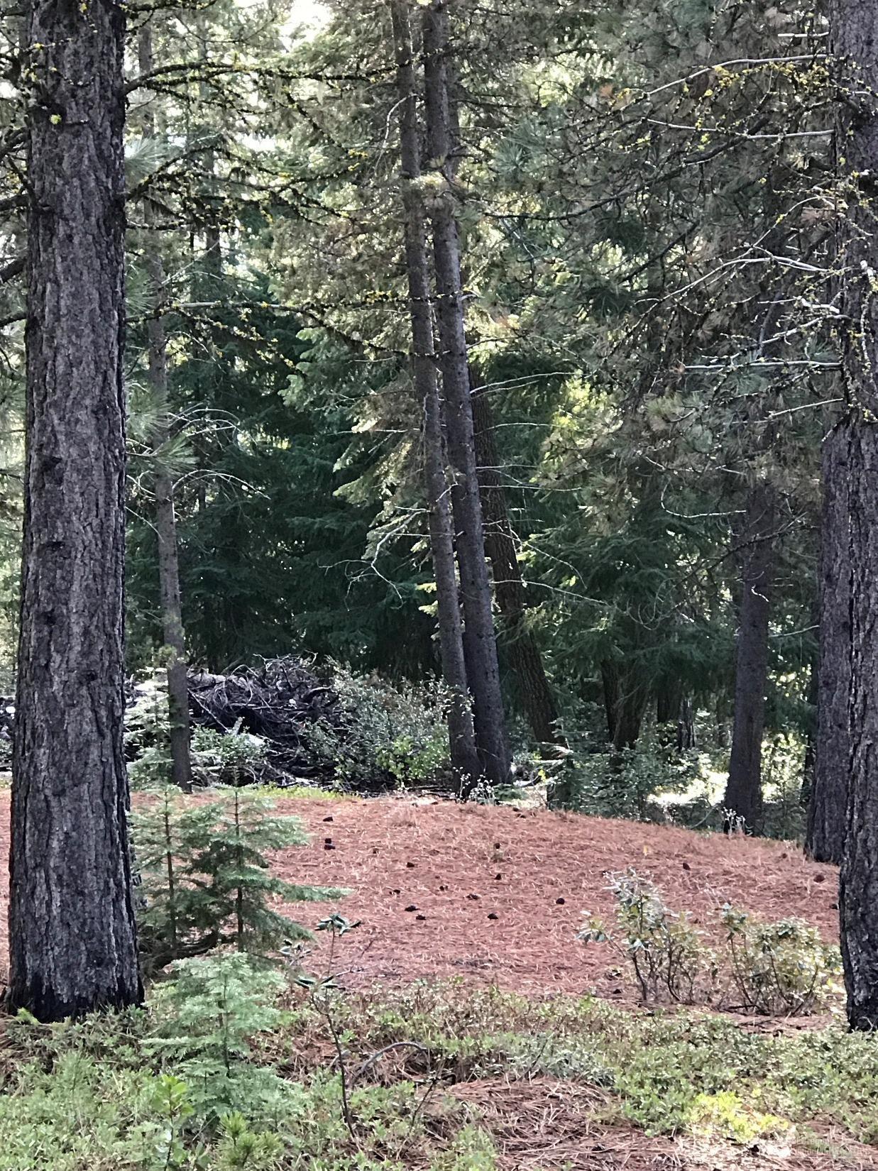 Diamond Peaks - Land