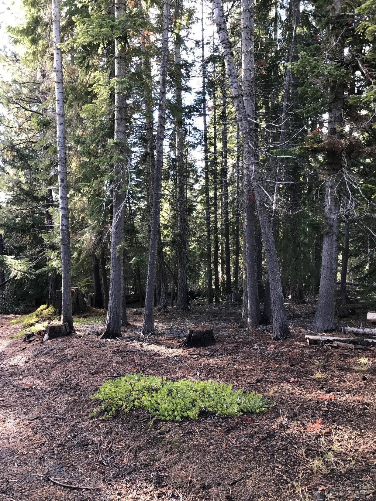 Diamond Peaks - Land