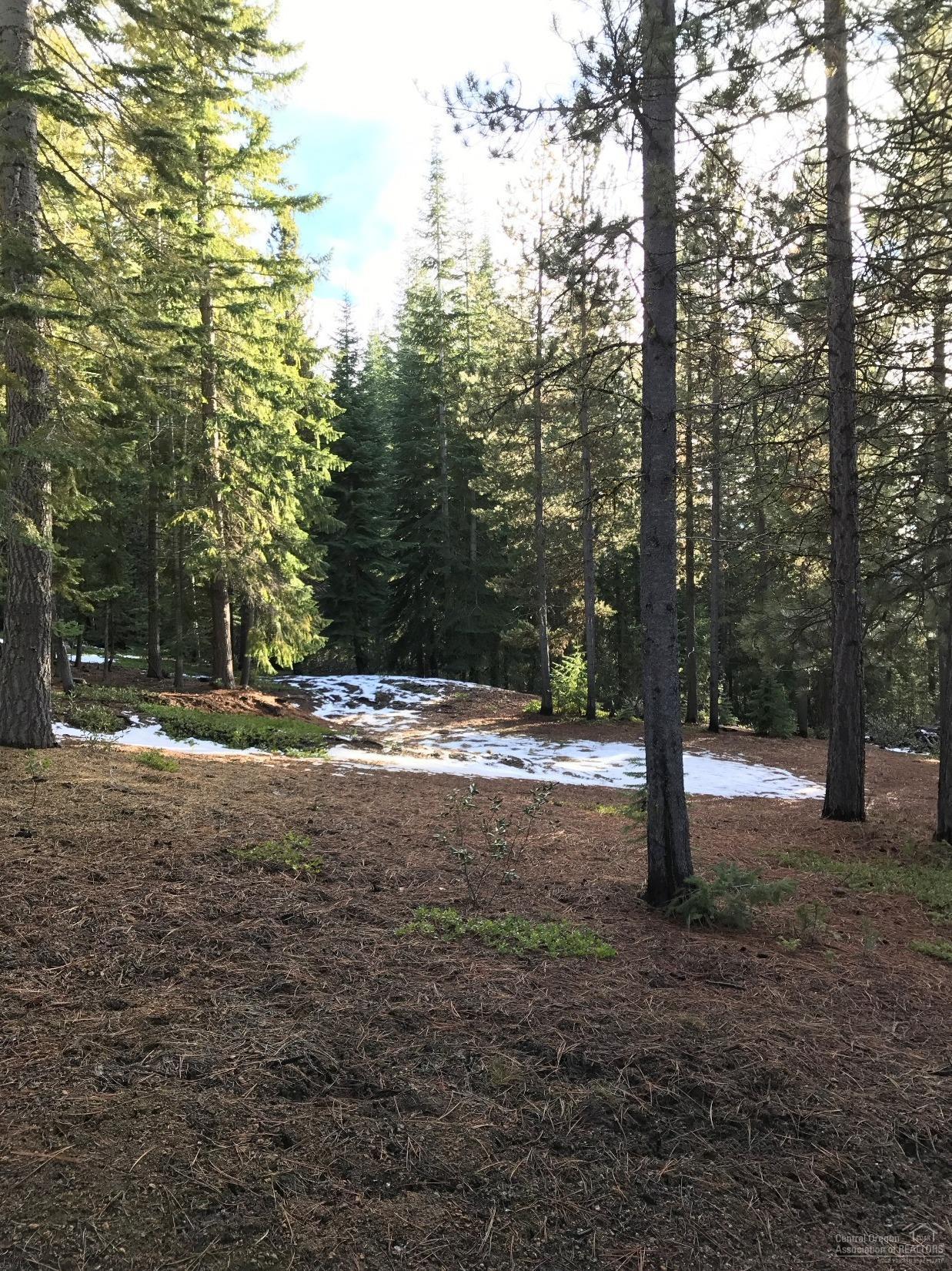 Diamond Peaks - Land