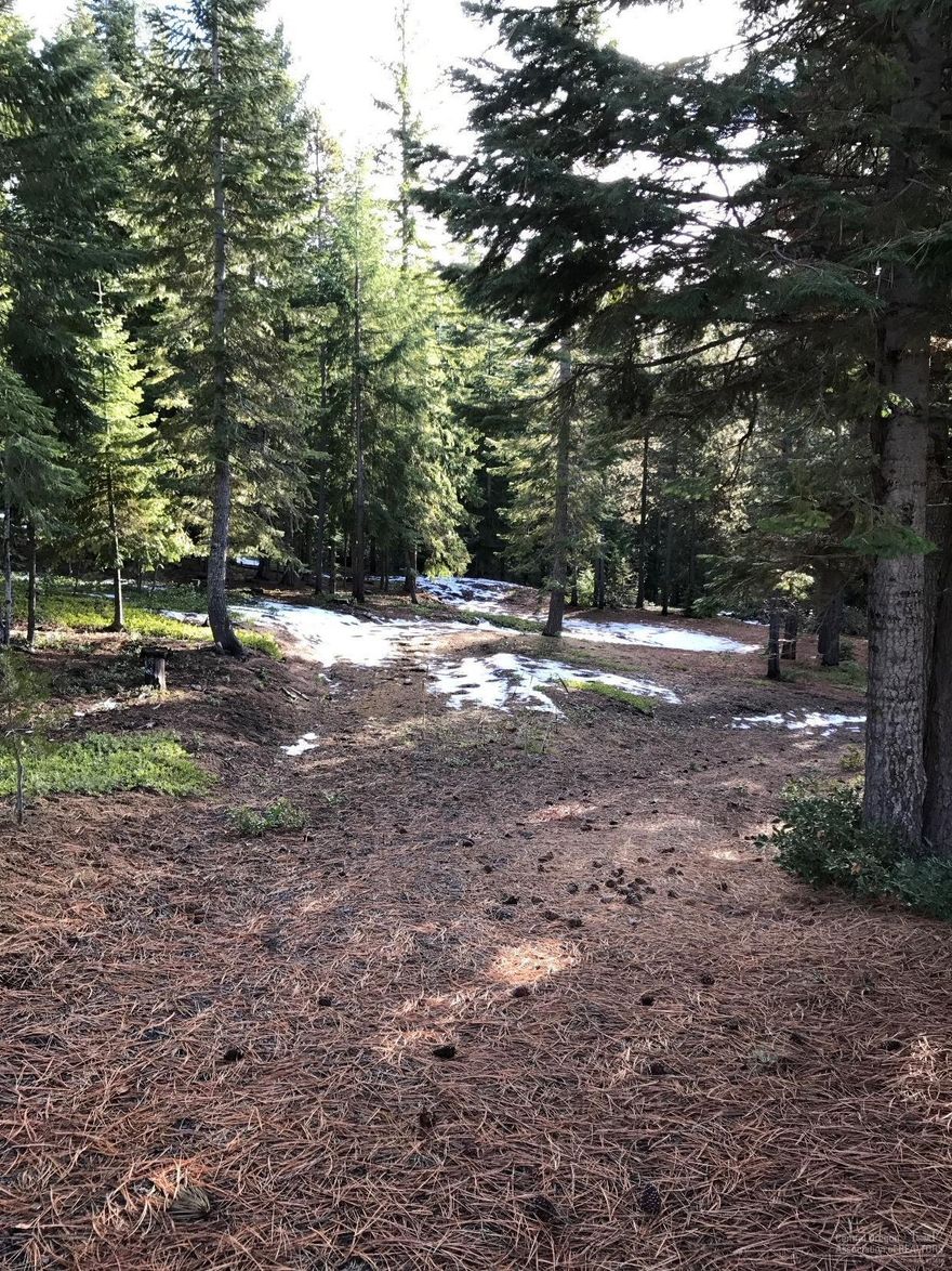 Fantastic price for this lot that has forestland access and great views. Private setting with large trees. Excellent Diamond Peaks Location, near all mountain lakes, hunting fishing, quading, skiing!! Paved roads maintained year round