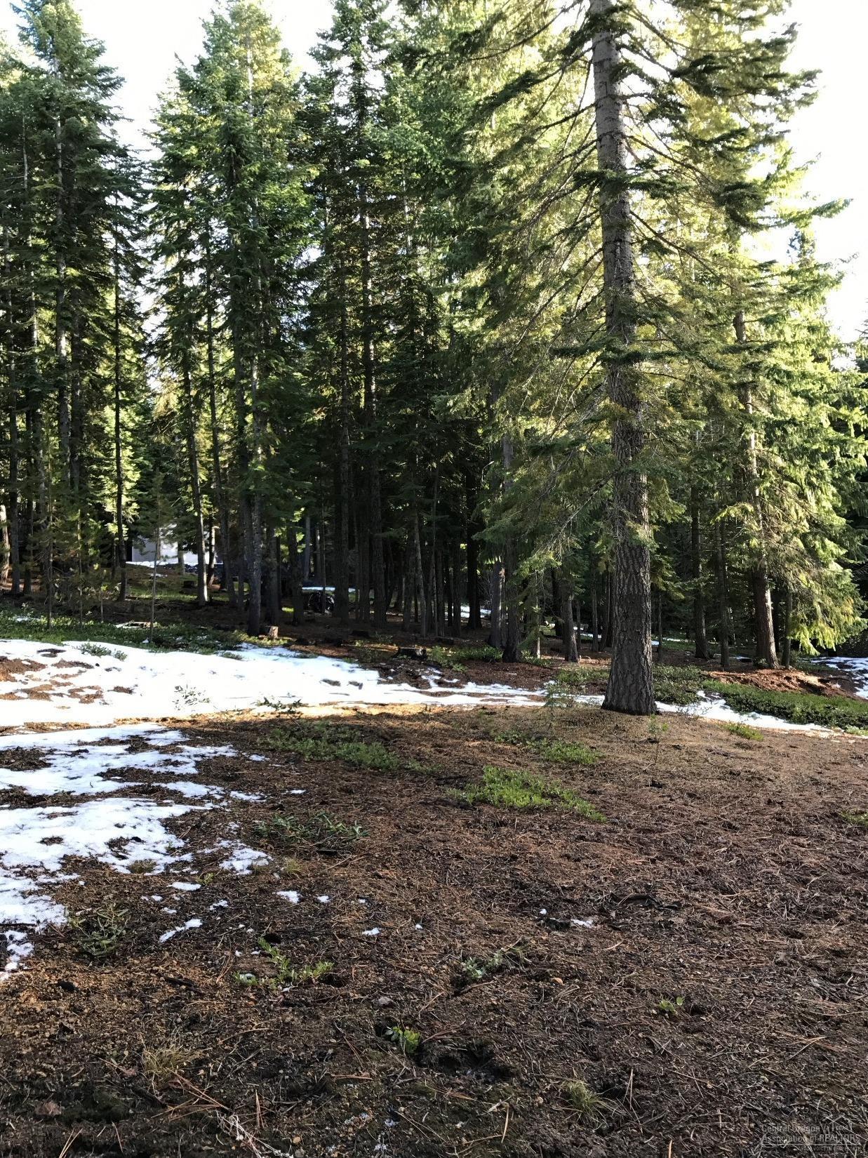 Diamond Peaks - Land