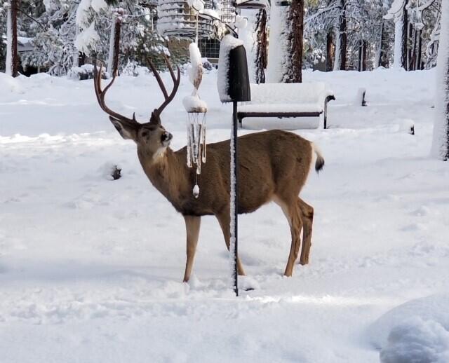 Awbrey Butte - Residential