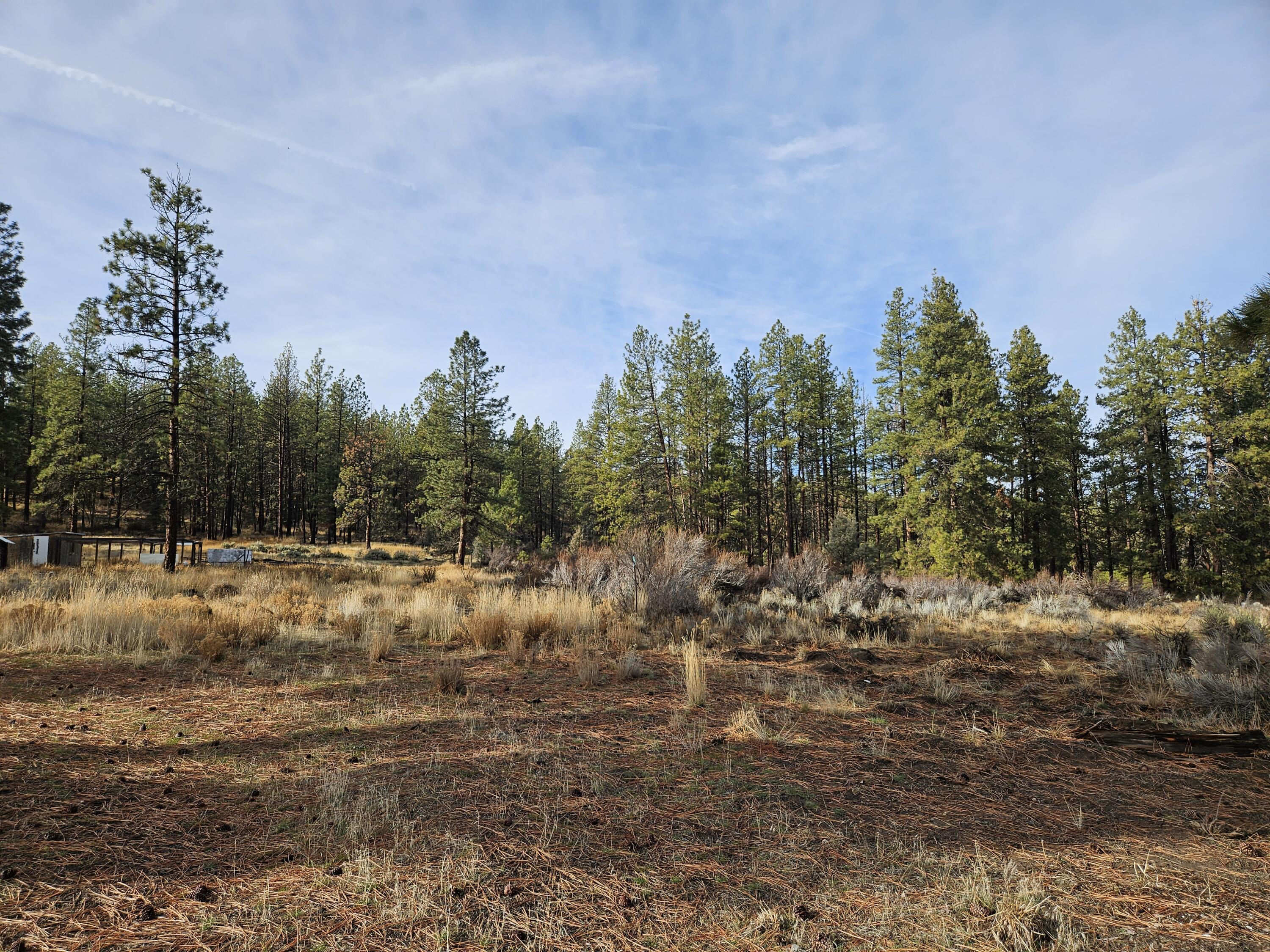 Klamath Falls Forest Estates -Hwy 66 Unit -Plat No. 2 - Land