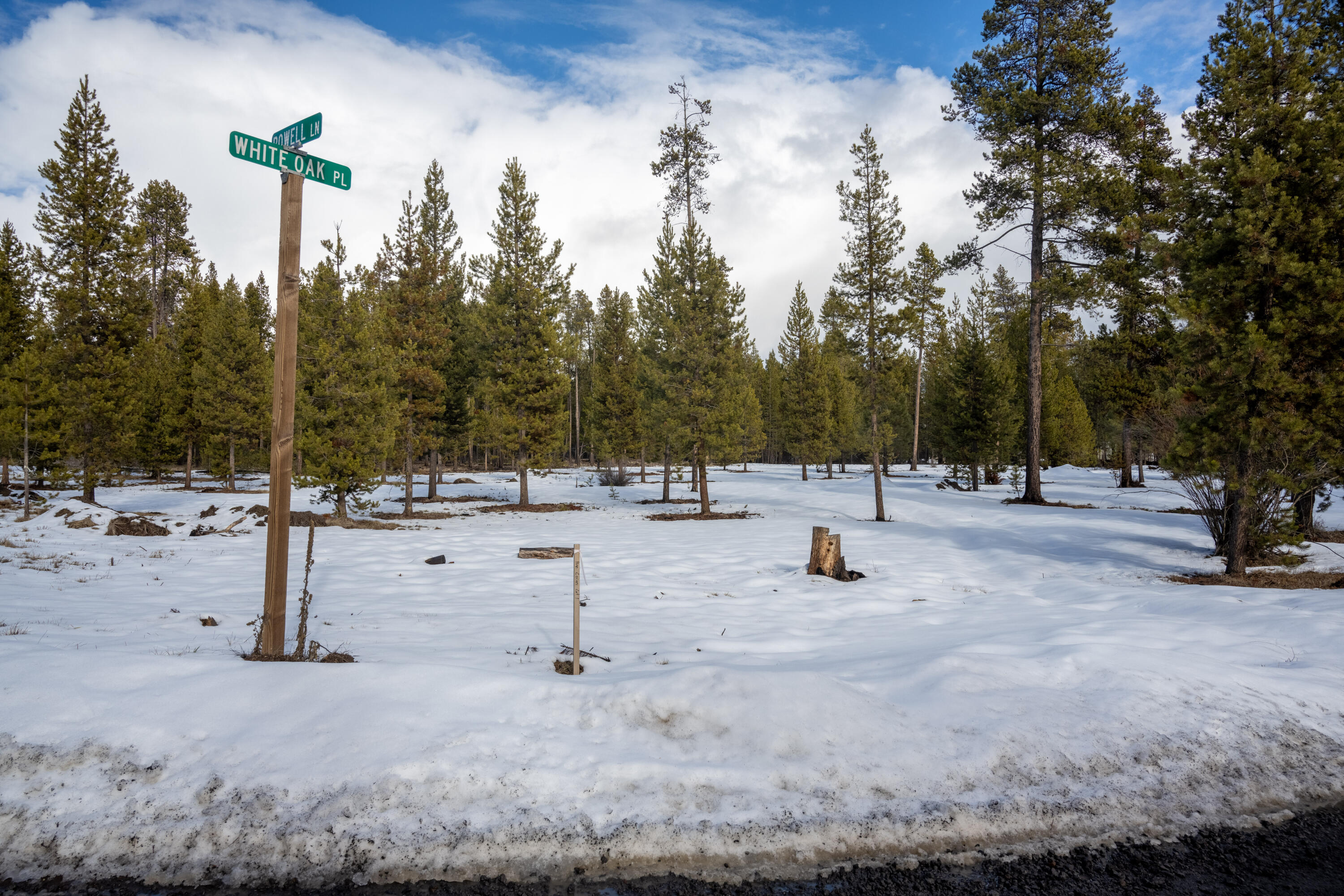 17168 Helbrock Drive 1-4