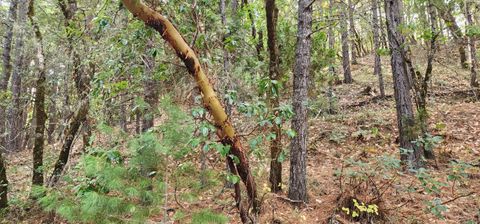 Tiny photo for Pinecrest Drive, Grants Pass, OR 97526 (MLS # 220210247)