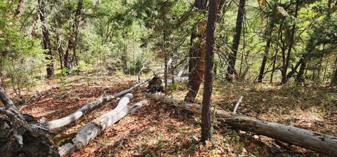 Tiny photo for Pinecrest Drive, Grants Pass, OR 97526 (MLS # 220210247)