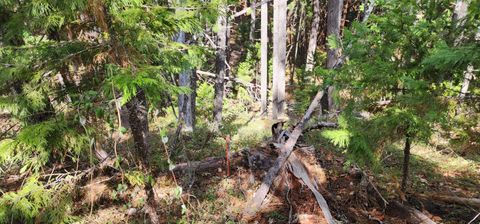Tiny photo for Pinecrest Drive, Grants Pass, OR 97526 (MLS # 220210247)