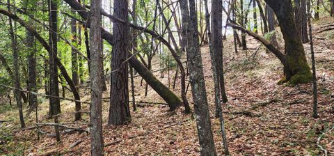 Tiny photo for Pinecrest Drive, Grants Pass, OR 97526 (MLS # 220210247)
