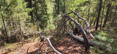Tiny photo for Pinecrest Drive, Grants Pass, OR 97526 (MLS # 220210247)