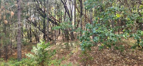 Tiny photo for Pinecrest Drive, Grants Pass, OR 97526 (MLS # 220210247)