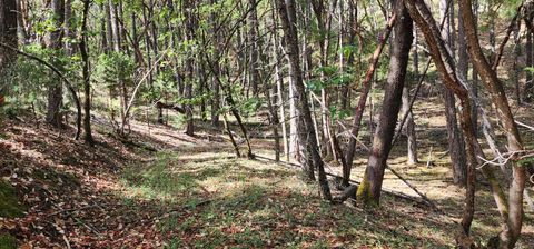 Tiny photo for Pinecrest Drive, Grants Pass, OR 97526 (MLS # 220210247)