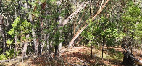 Tiny photo for Pinecrest Drive, Grants Pass, OR 97526 (MLS # 220210247)